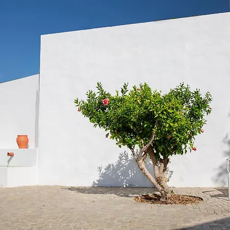 לינה וארוחת בוקר Solar Do Bisavo בורדיירה