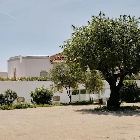 Solar Do Bisavo לינה וארוחת בוקר 4*